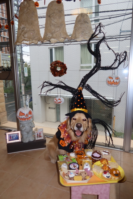 ファイル 8183-3.jpg