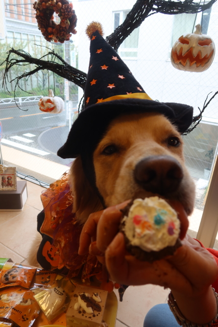 ファイル 8183-5.jpg