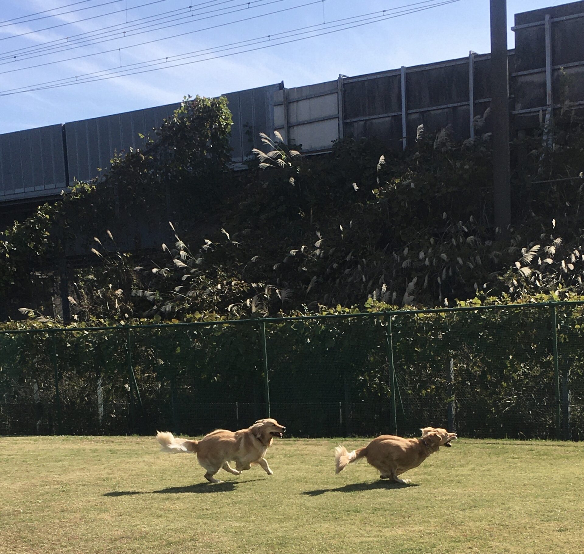 ファイル 8186-4.jpeg