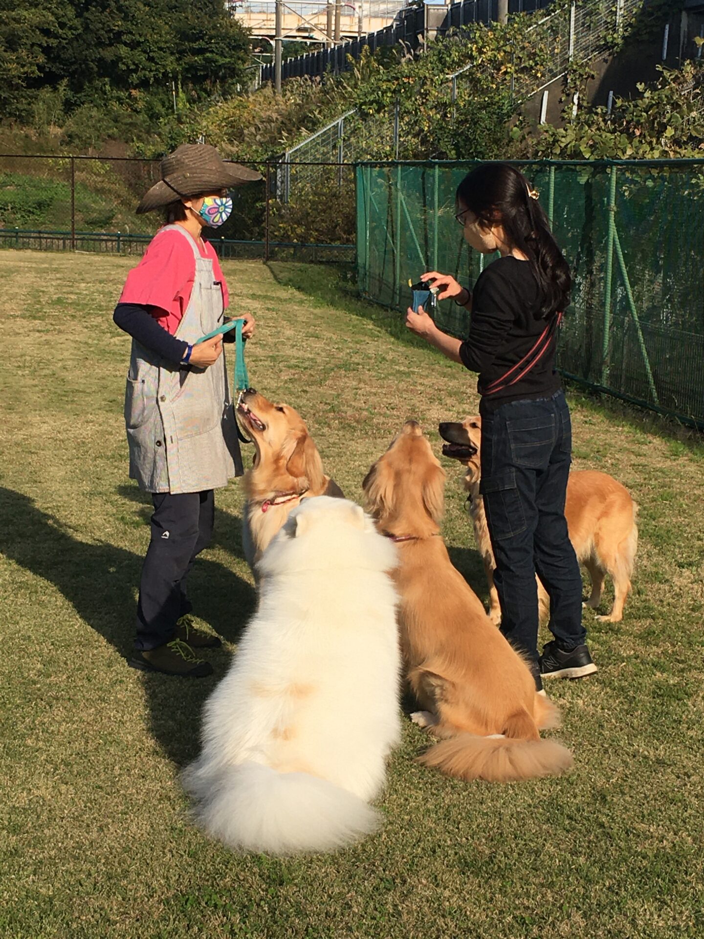 ファイル 8186-5.jpeg