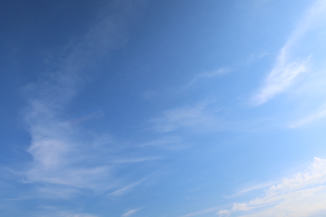 ファイル 8187-1.jpg