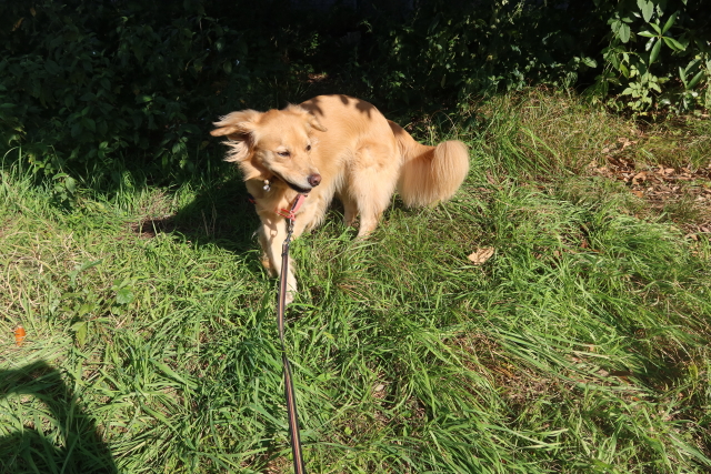 ファイル 8187-4.jpg