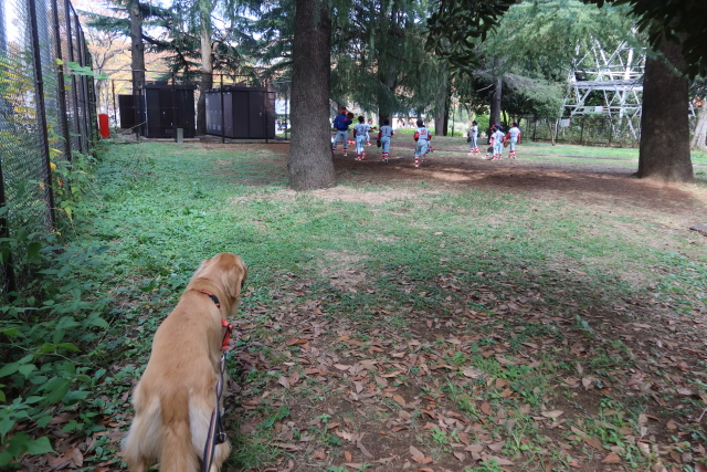 ファイル 8188-3.jpg