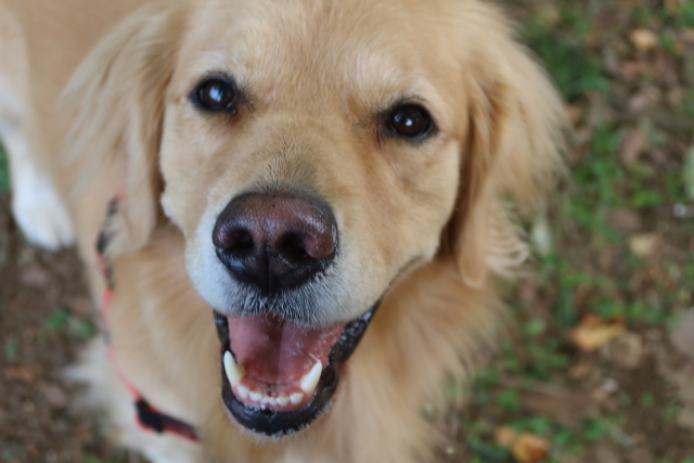 ファイル 8188-5.jpg