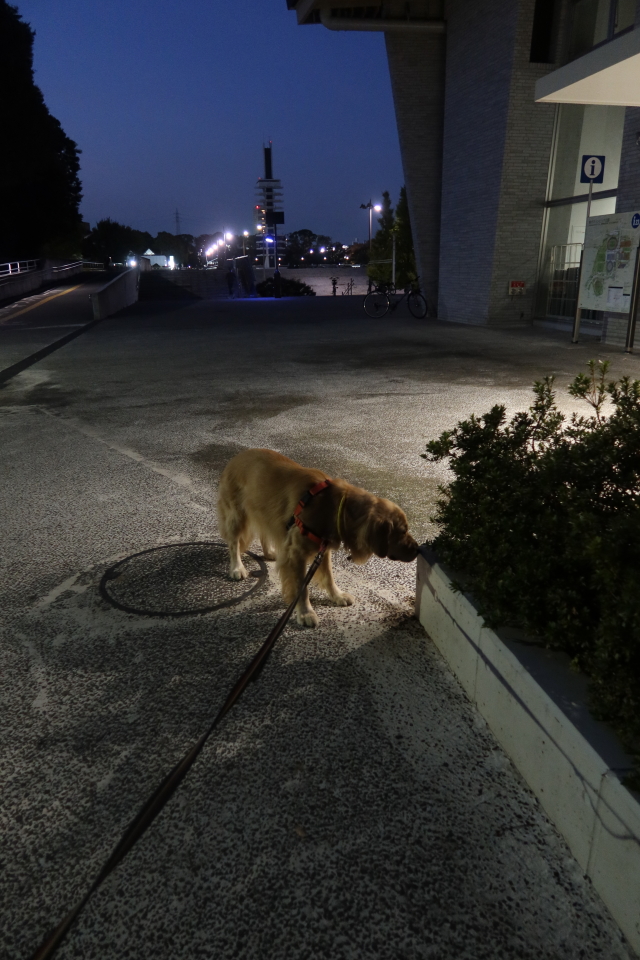 ファイル 8189-3.jpg