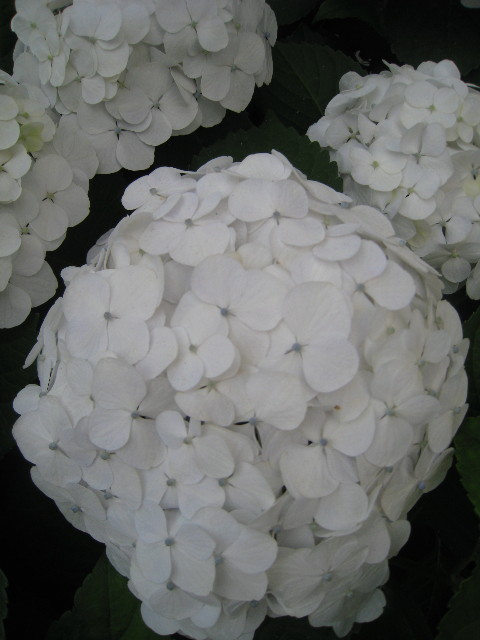 ファイル 819-1.jpg