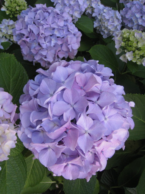 ファイル 819-4.jpg