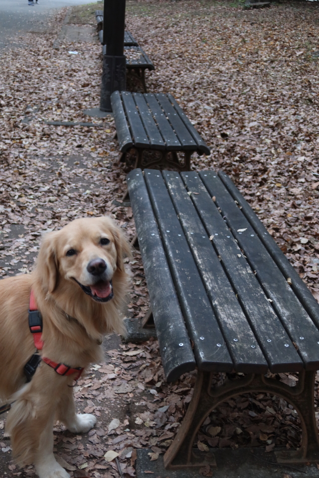 ファイル 8190-1.jpg