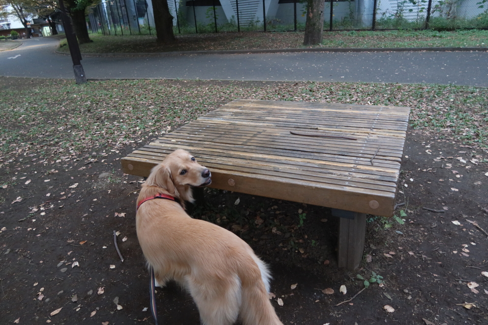 ファイル 8190-3.jpg