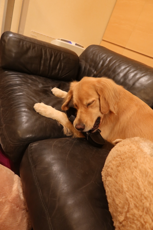 ファイル 8190-4.jpg