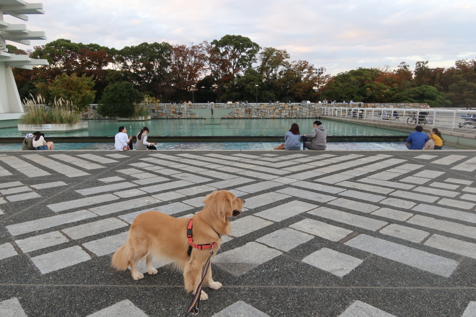 ファイル 8190-5.jpg