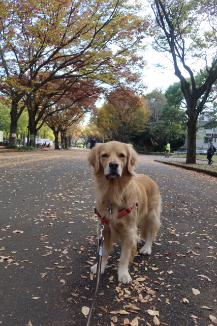 ファイル 8191-1.jpg