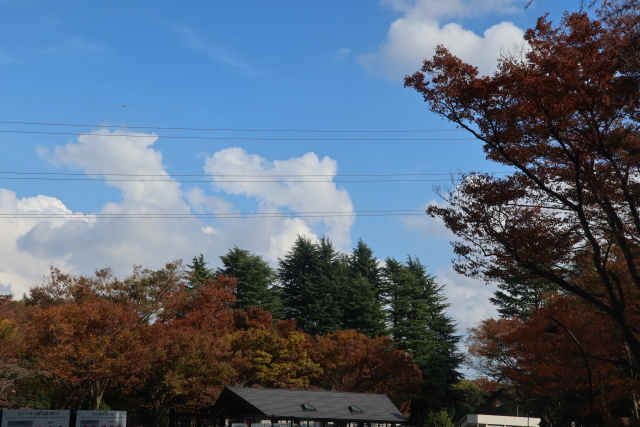 ファイル 8191-2.jpg