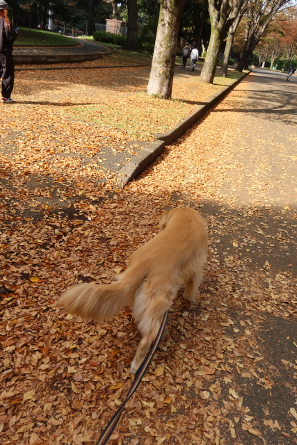 ファイル 8191-3.jpg