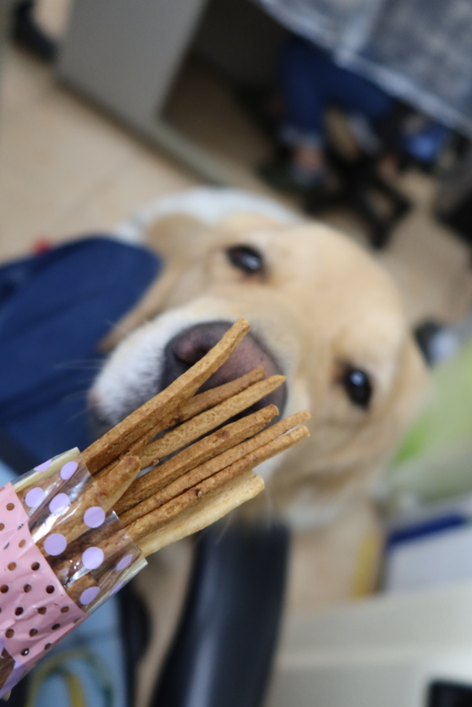 ファイル 8192-3.jpg