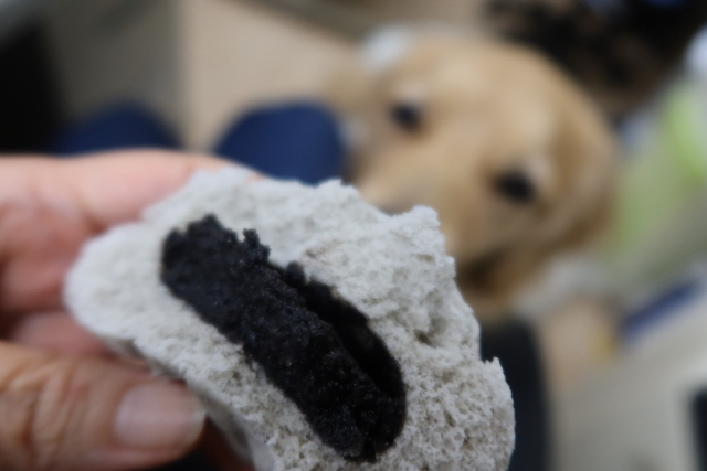 ファイル 8192-4.jpg