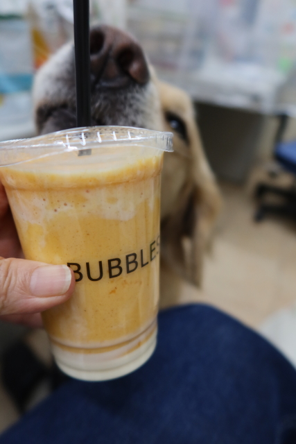 ファイル 8192-5.jpg