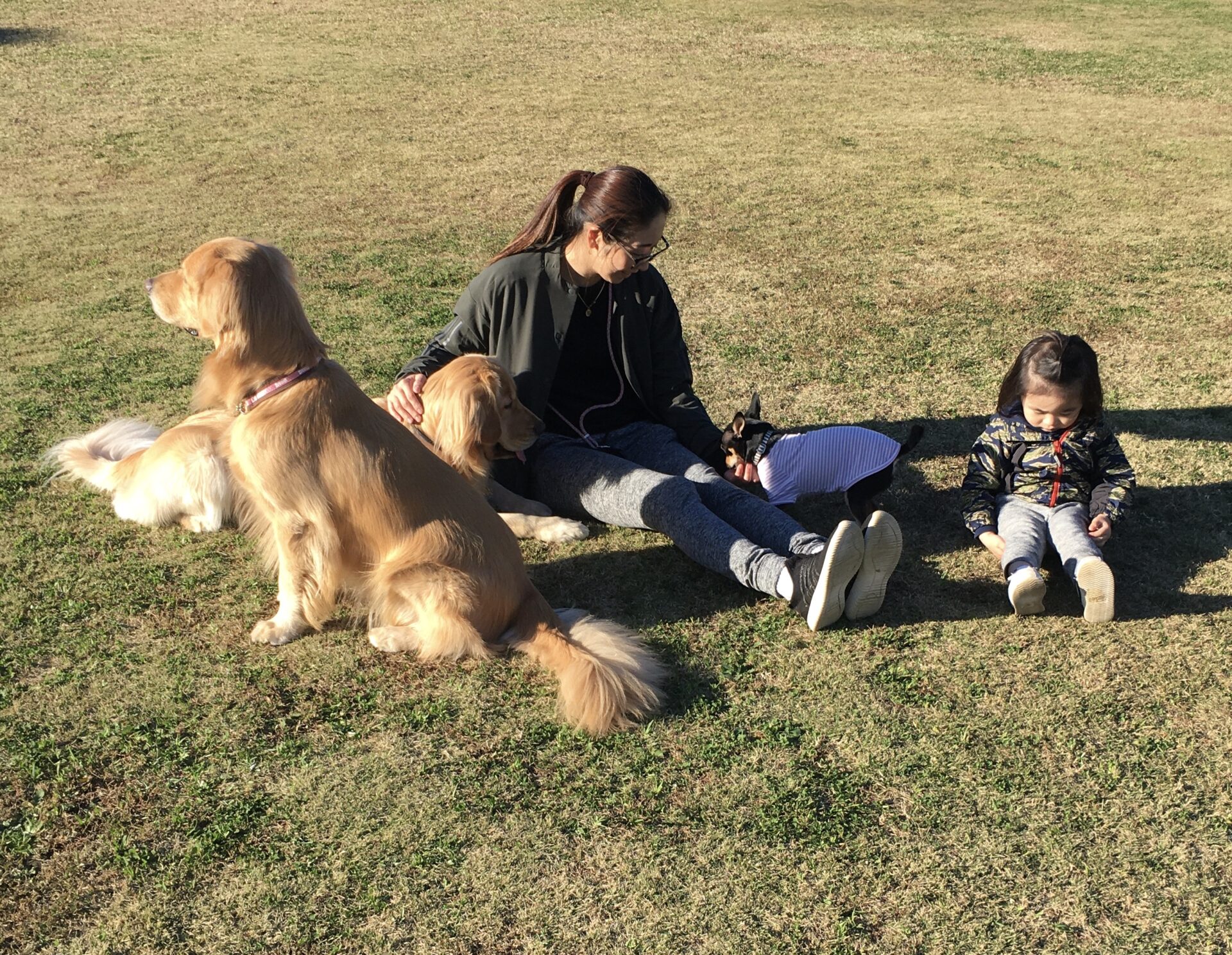 ファイル 8193-2.jpeg