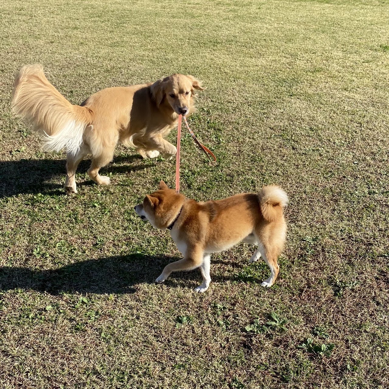 ファイル 8193-5.jpeg