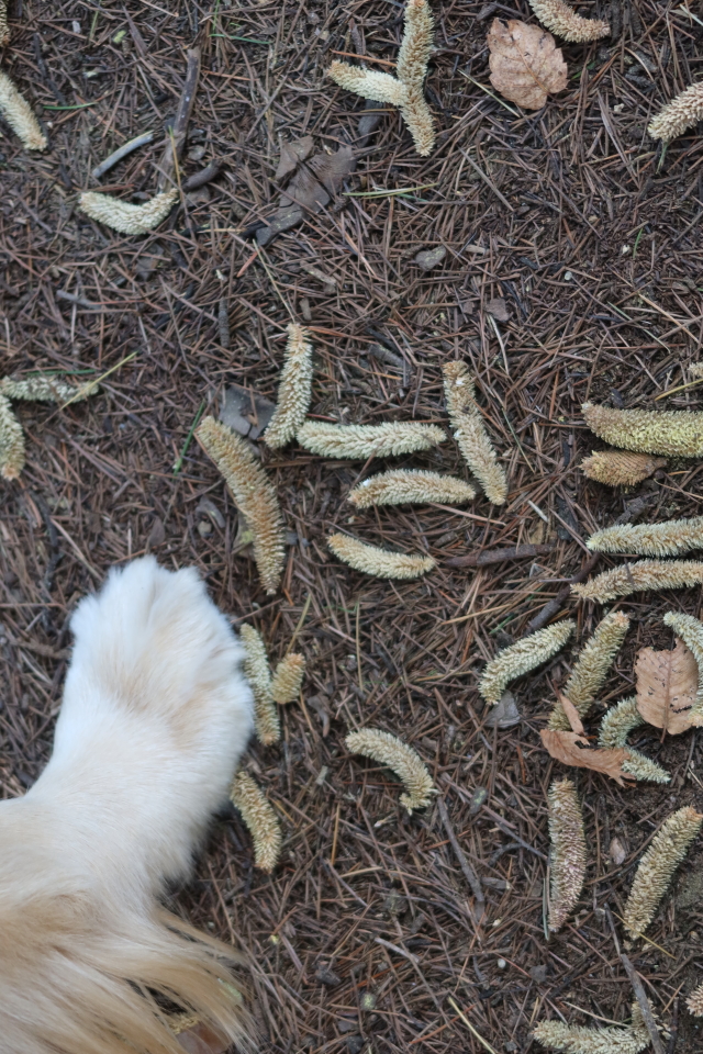 ファイル 8194-3.jpg