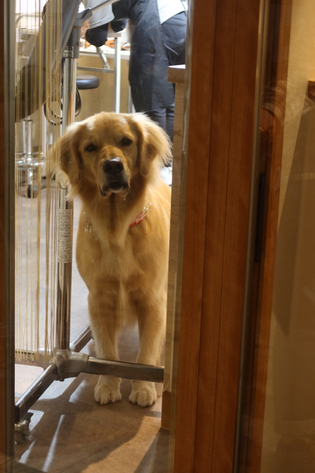 ファイル 8195-2.jpg