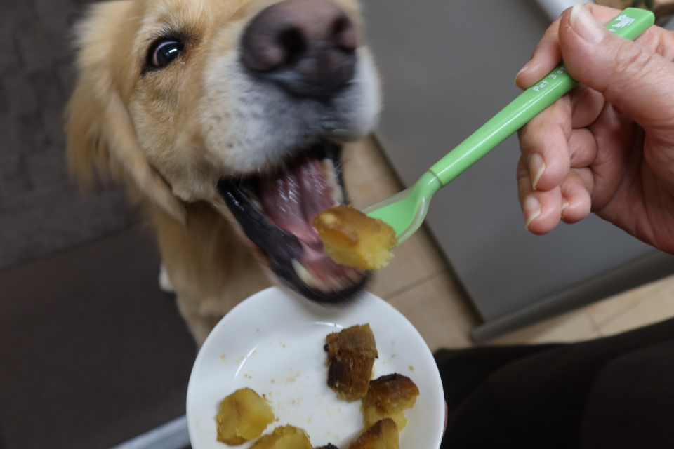 ファイル 8195-4.jpg