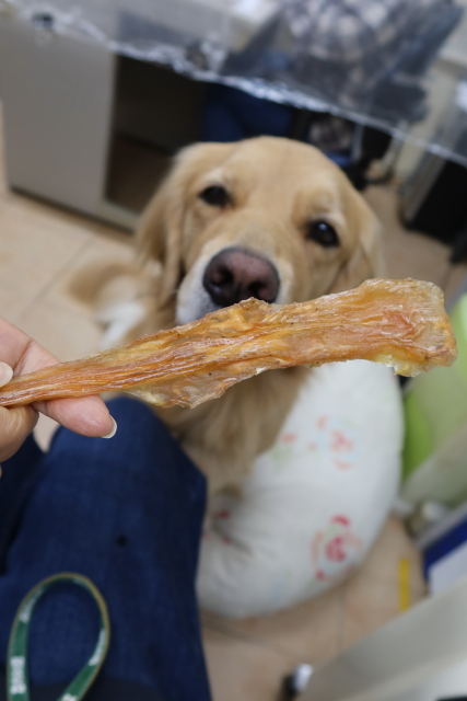 ファイル 8195-5.jpg