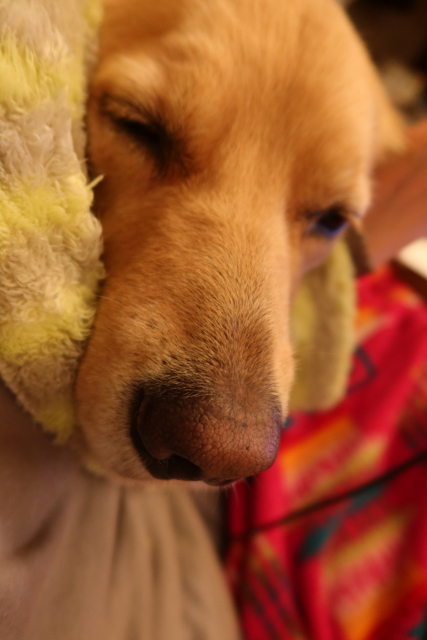 ファイル 8196-3.jpg