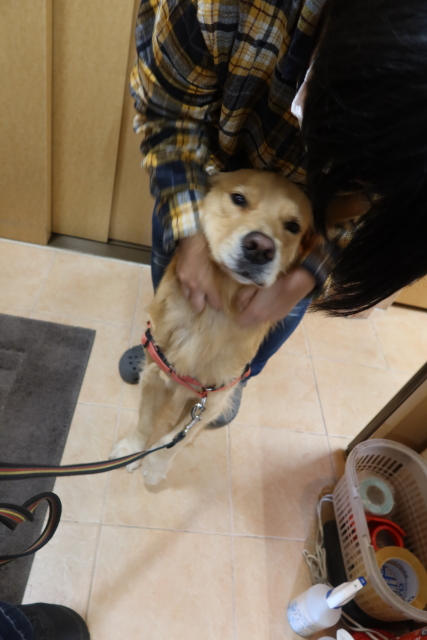 ファイル 8197-5.jpg