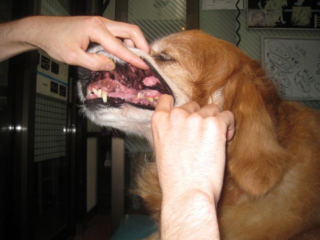 ファイル 820-2.jpg