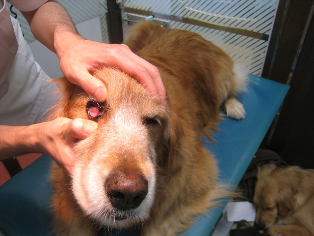 ファイル 820-3.jpg