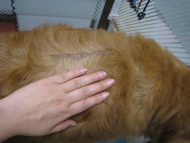 ファイル 820-4.jpg