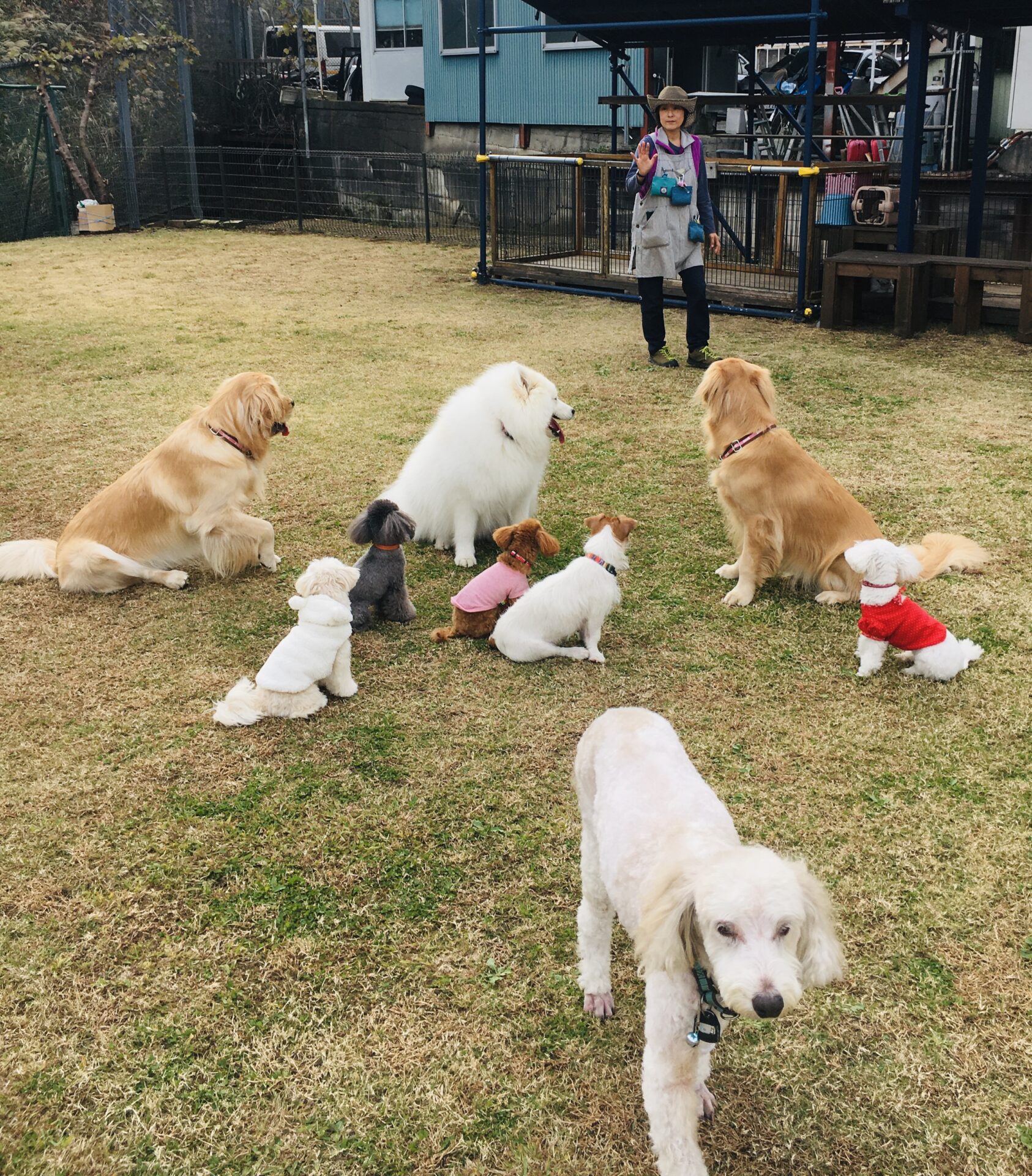 ファイル 8200-2.jpeg