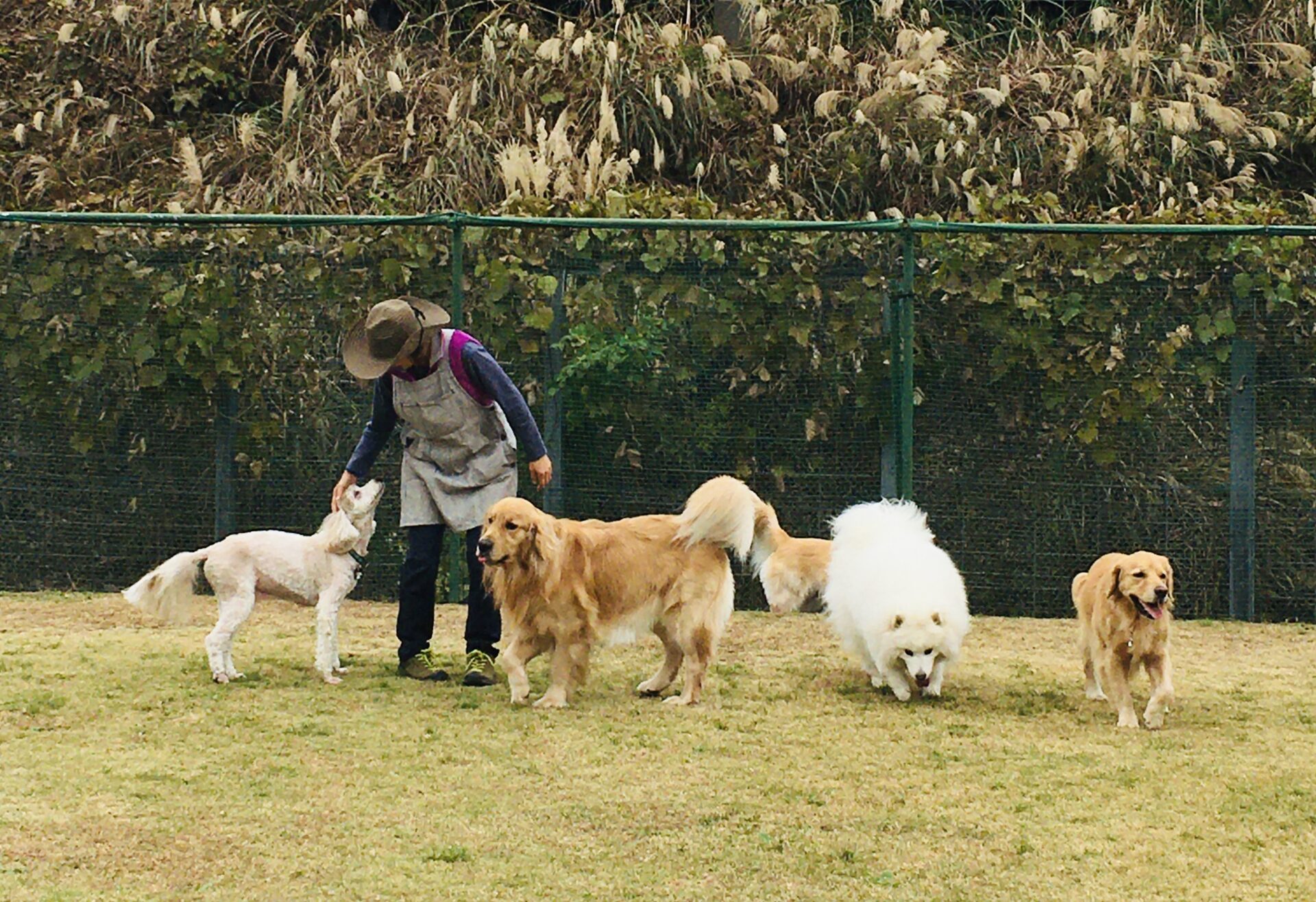 ファイル 8200-3.jpeg