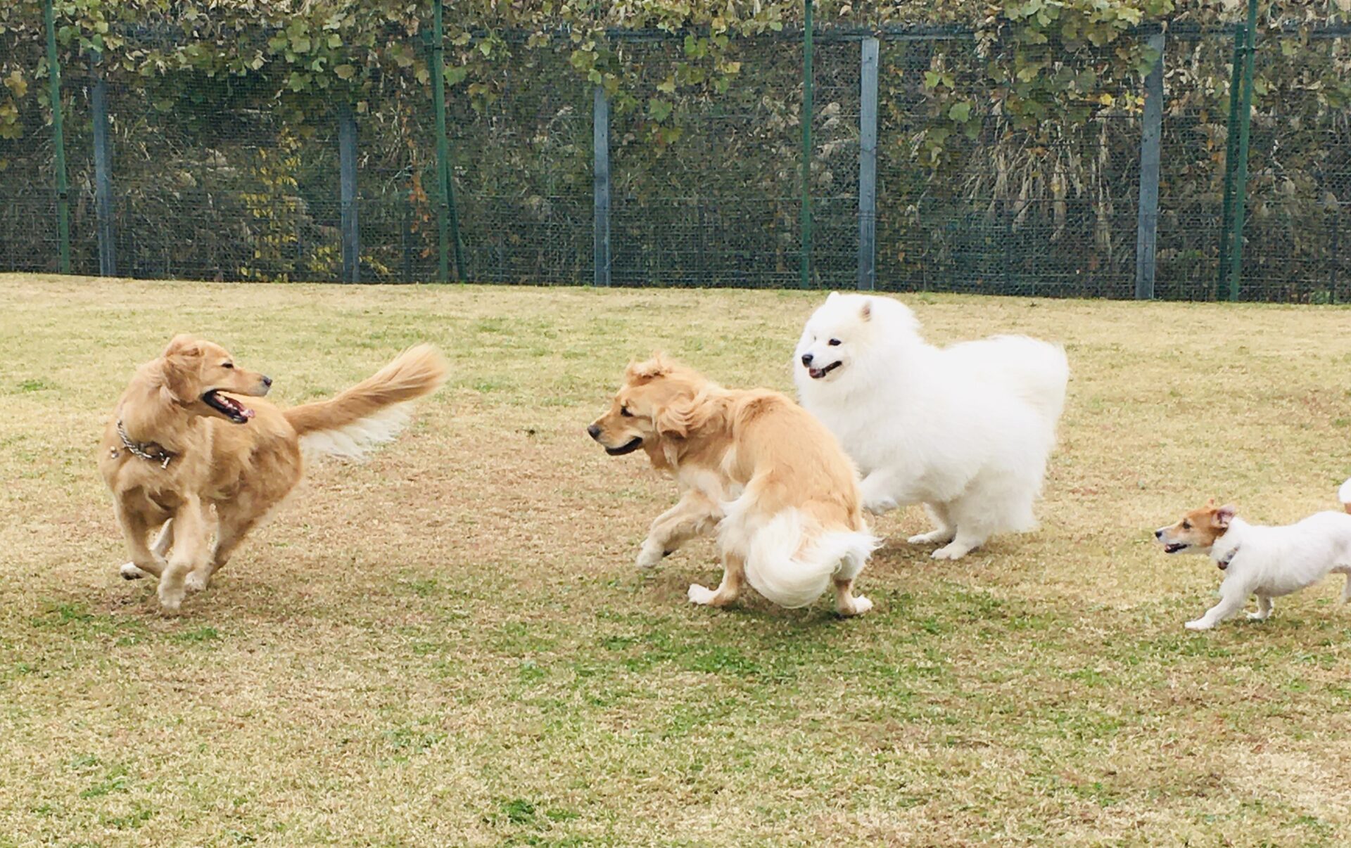 ファイル 8200-4.jpeg