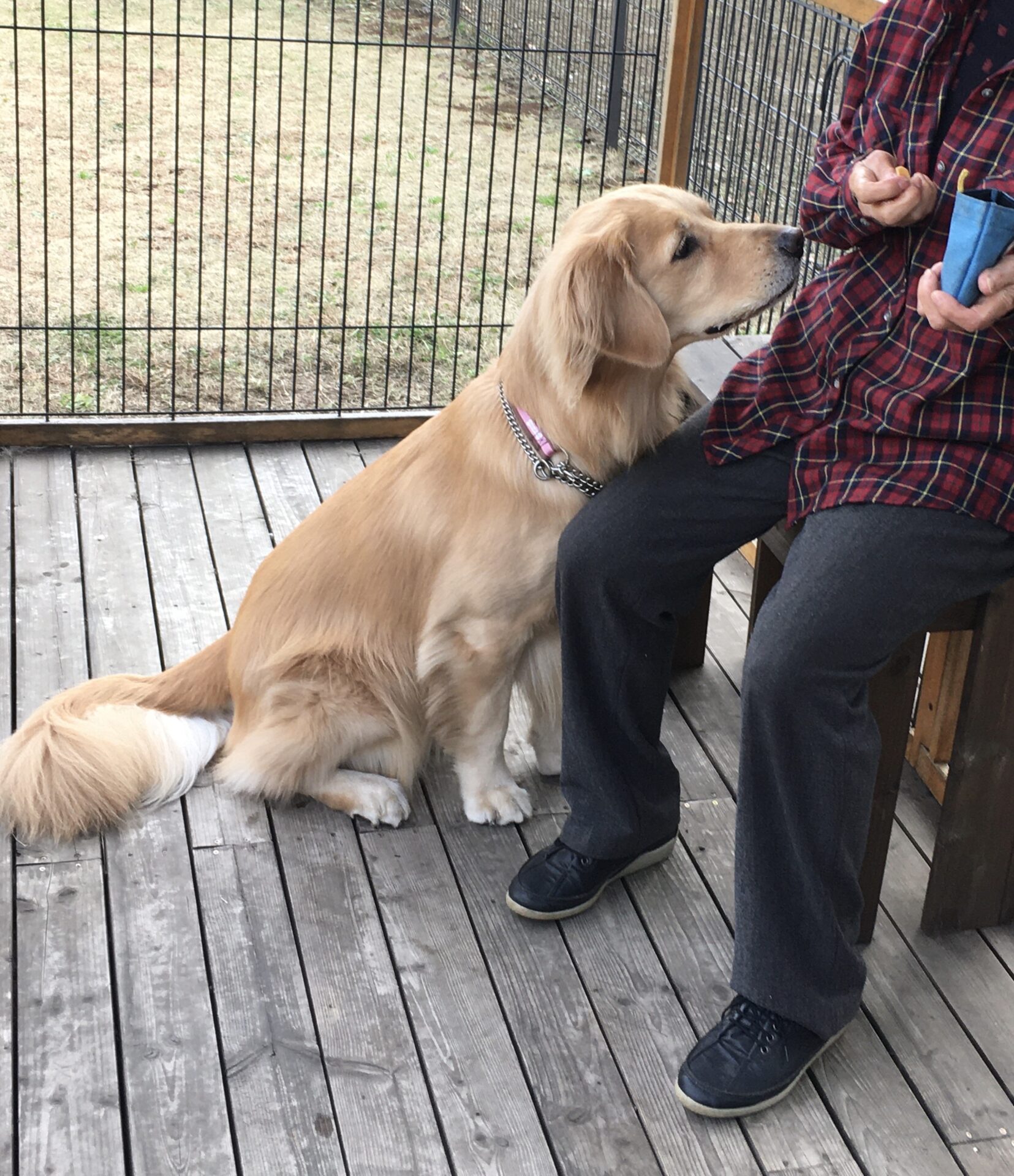 ファイル 8200-5.jpeg