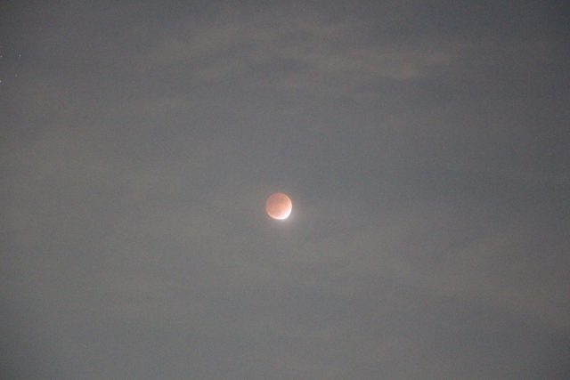 ファイル 8201-1.jpg