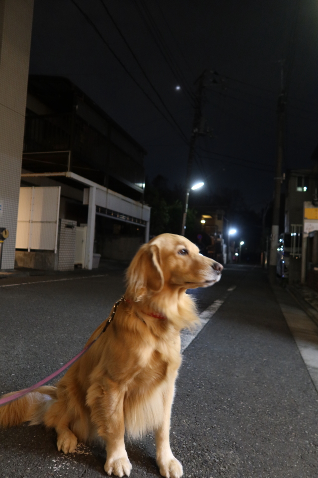 ファイル 8201-5.jpg