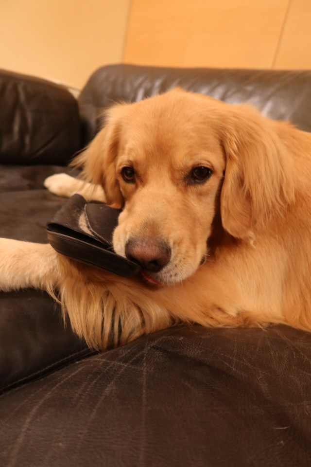 ファイル 8202-1.jpg