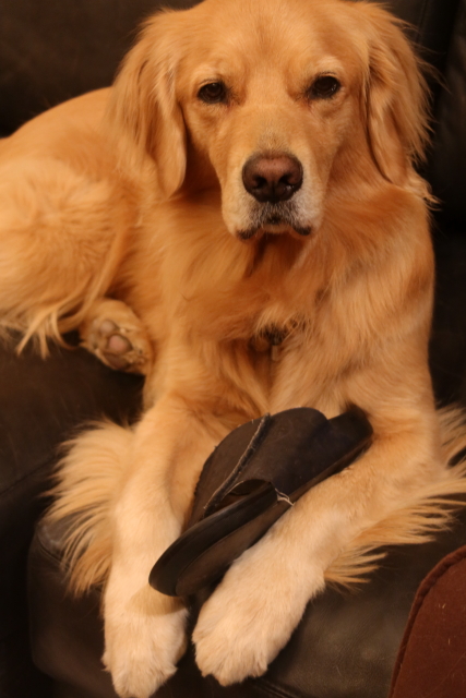 ファイル 8202-2.jpg