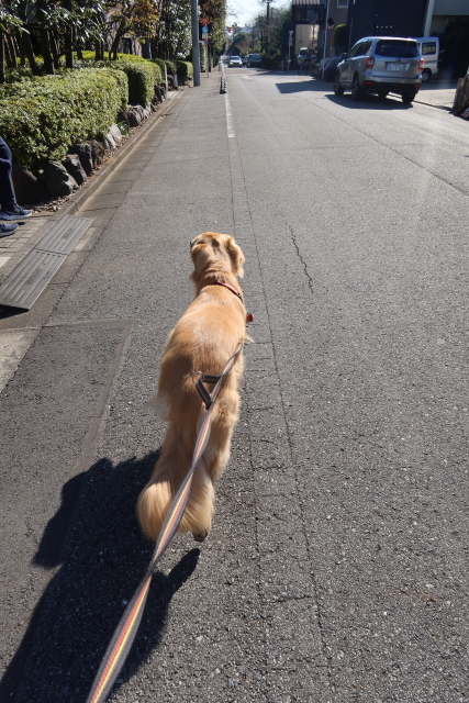 ファイル 8202-3.jpg