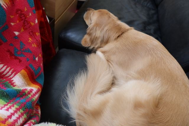 ファイル 8202-4.jpg