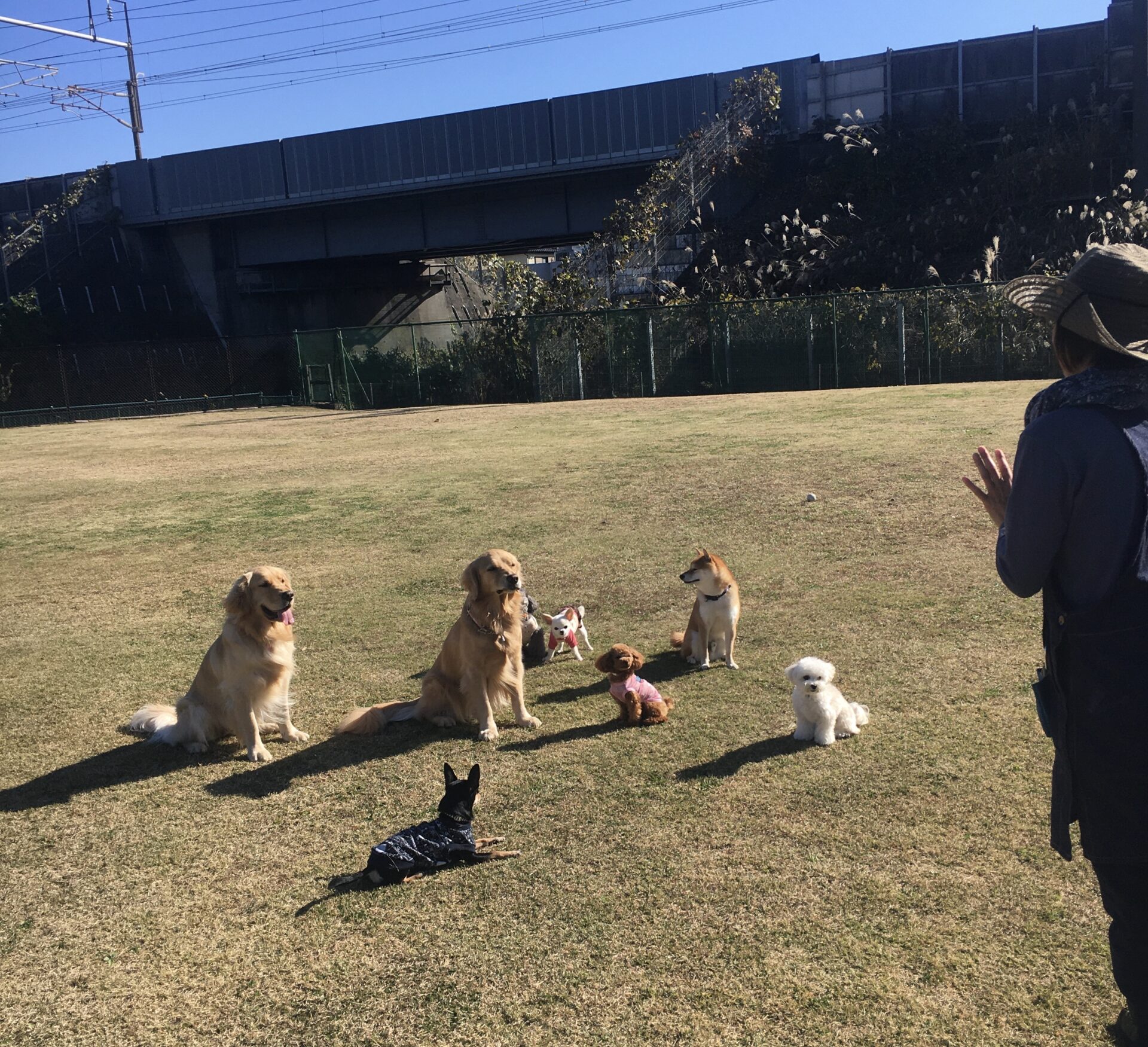 ファイル 8208-1.jpeg