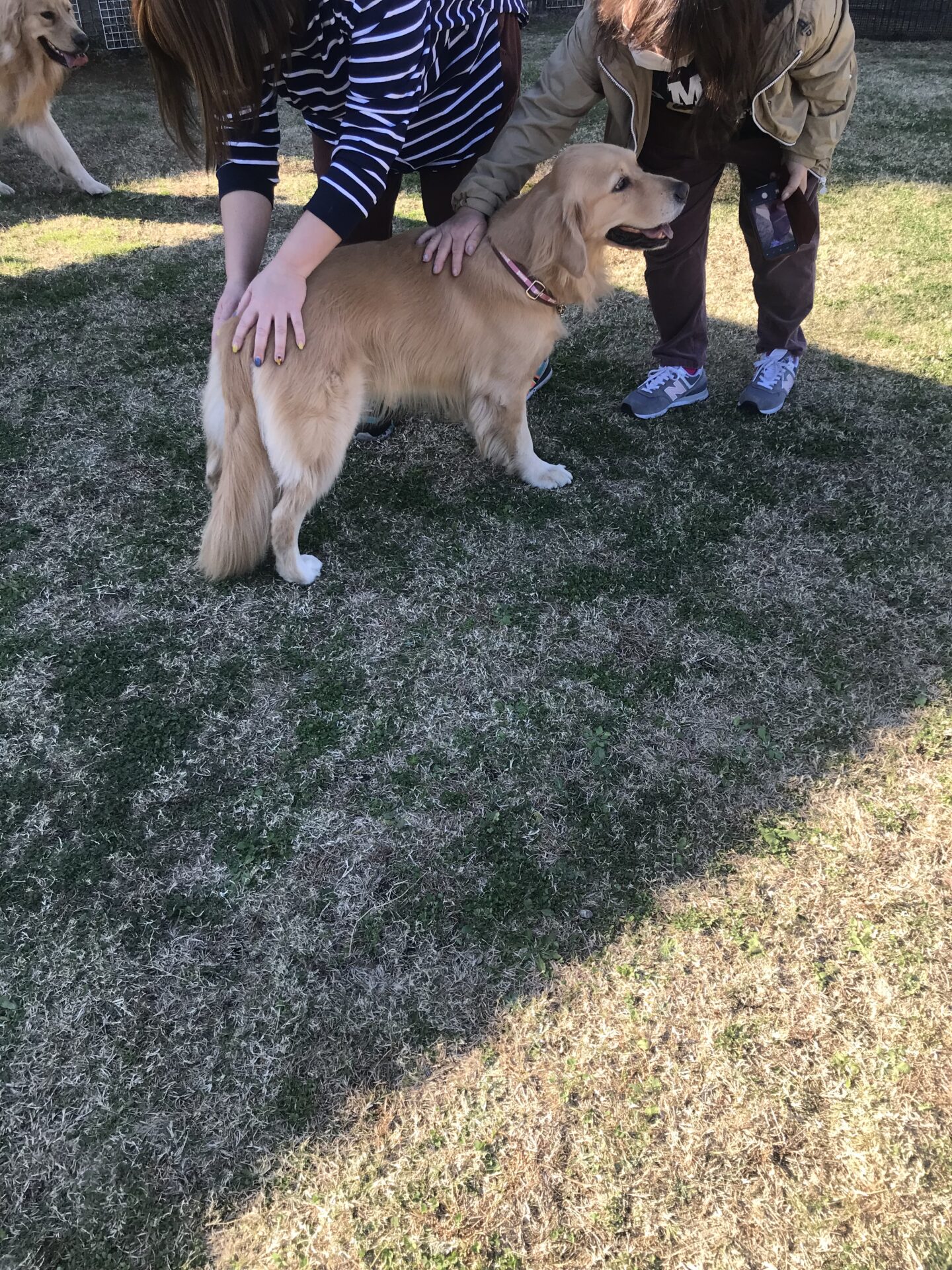 ファイル 8208-3.jpeg