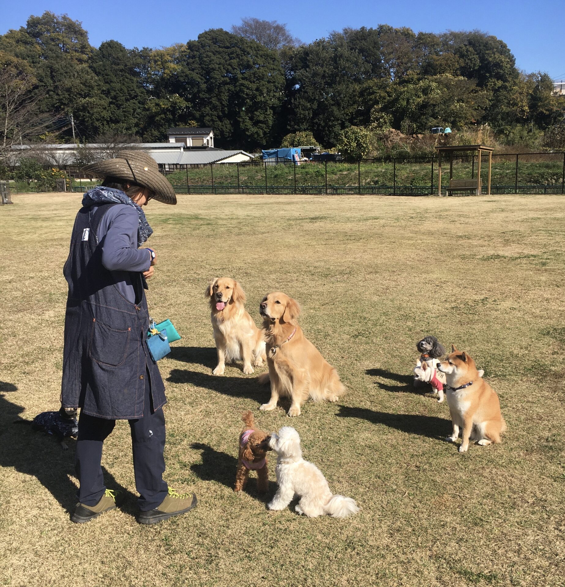 ファイル 8208-4.jpeg