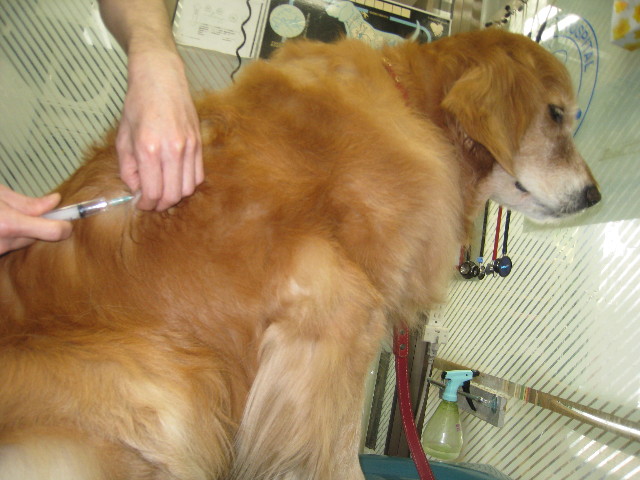 ファイル 821-3.jpg