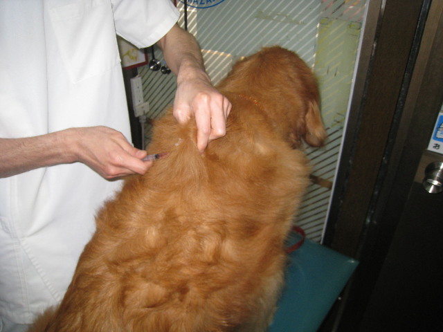 ファイル 821-5.jpg