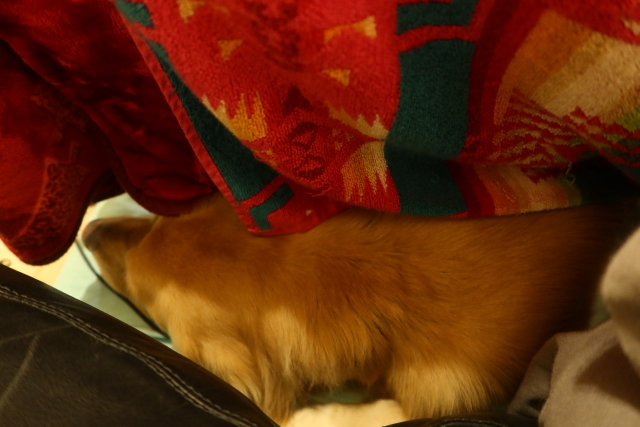 ファイル 8211-1.jpg