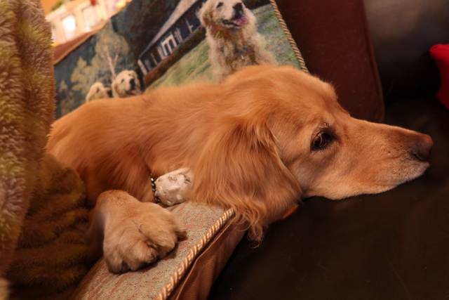 ファイル 8211-2.jpg