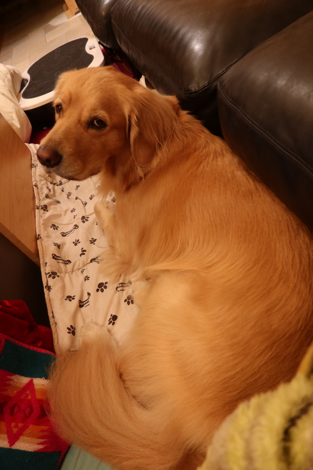 ファイル 8211-4.jpg